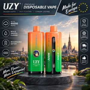 UZY PENTA FLAVOR 10 IN 1 500000